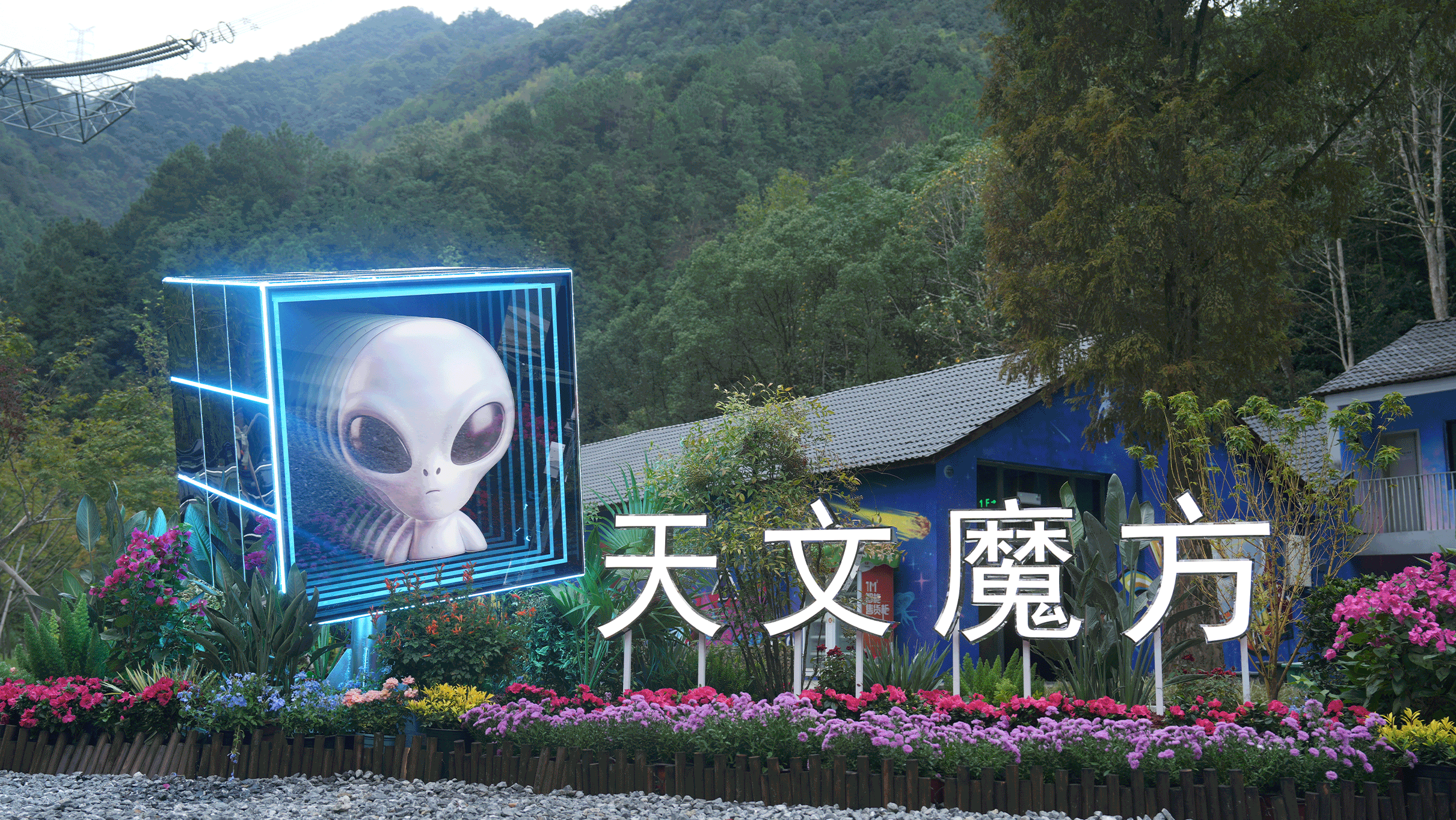 圖片